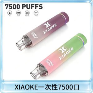 XIAOKE梟客7500Puffs跑馬燈拋棄式電子煙 可發光一次性
