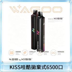 KIS5WAGOO哇酷6500口拋棄式 | 自由混搭雙口味 | 雙芯組合